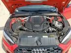2021 Audi S5 Prestige