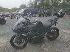 2024 Kawasaki EX500 H