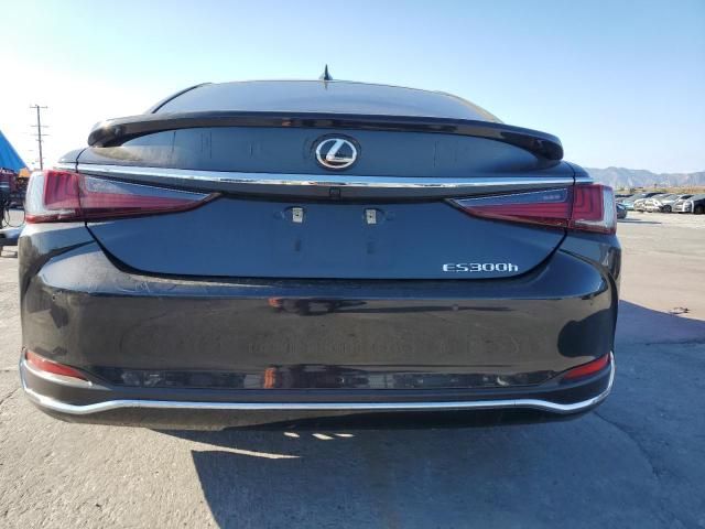 2025 Lexus Es 300h Base