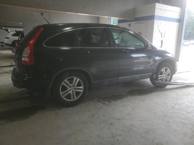 2010 Honda CR-V EXL