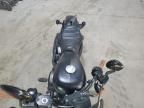 2019 Harley-Davidson XL883 N