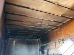 2023 Haulmark (american Cargo  Utility Trailer > 12 FT