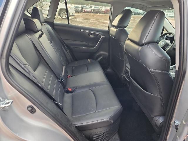 2024 Toyota Rav4 XLE Premium