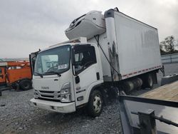 Salvage trucks for sale at Grantville, PA auction: 2023 Isuzu NQR