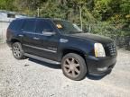 2007 Cadillac Escalade Luxury