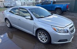Chevrolet Malibu 1LT salvage cars for sale: 2013 Chevrolet Malibu 1LT