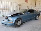 2005 Ford Mustang