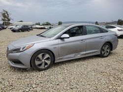 2016 Hyundai Sonata Hybrid for sale in San Martin, CA