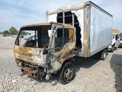 International salvage cars for sale: 2010 International CF 600