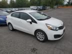 2014 KIA Rio