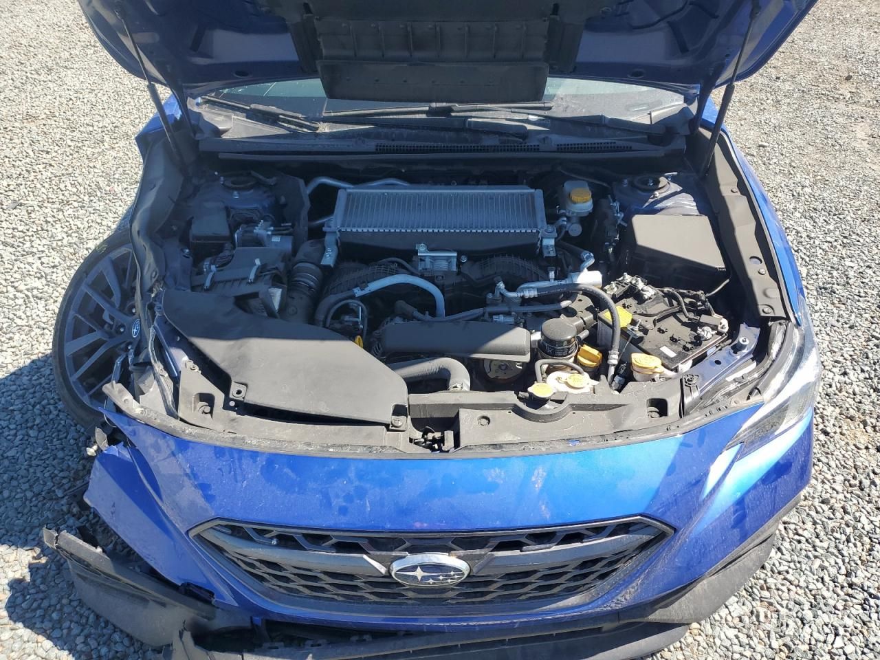 2024 Subaru Wrx Premium