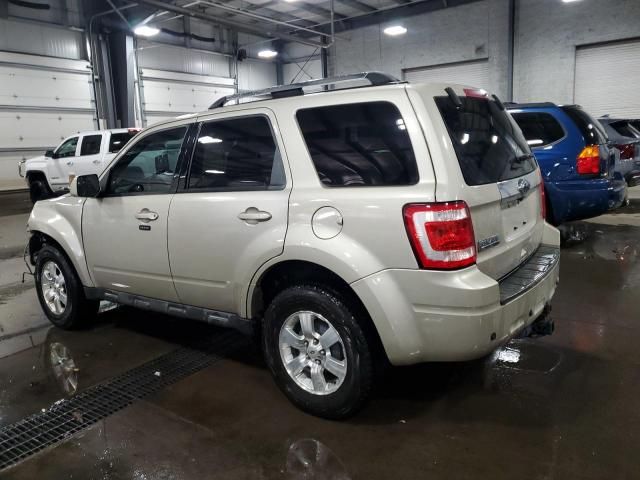 2011 Ford Escape Limited