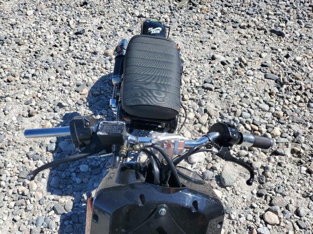 2025 Ice Bear Maddog