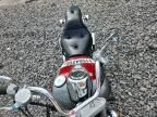 2001 Kawasaki EN500 C