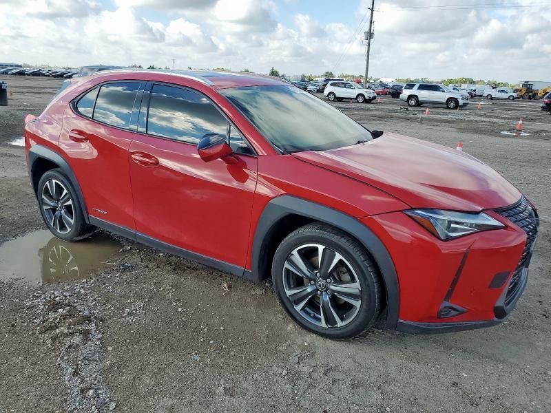 2019 Lexus UX 250H