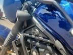 2025 Honda CMX500 A2