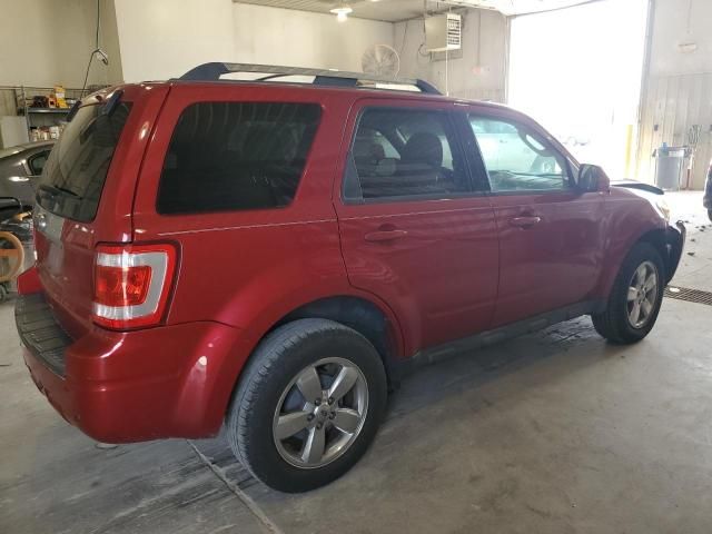 2011 Ford Escape Limited
