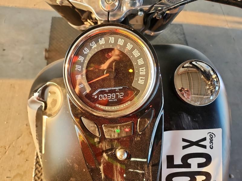 2020 Harley-Davidson Flsl