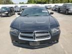 2014 Dodge Charger SXT