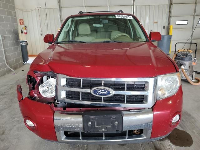 2011 Ford Escape Limited