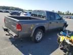 2004 Dodge Dakota Quad Sport