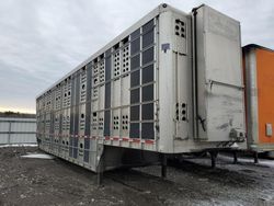 Salvage trucks for sale at Earlington, KY auction: 2019 EBY Live Stock