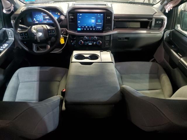 2025 Ford F150 XLT