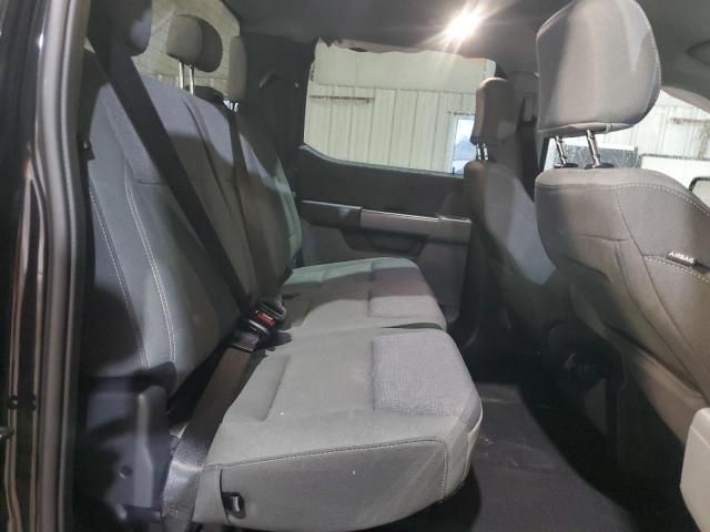 2025 Ford F150 XLT