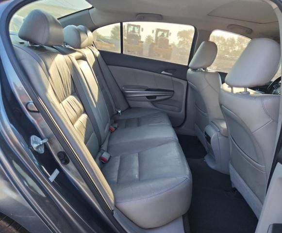 2010 Honda Accord EXL