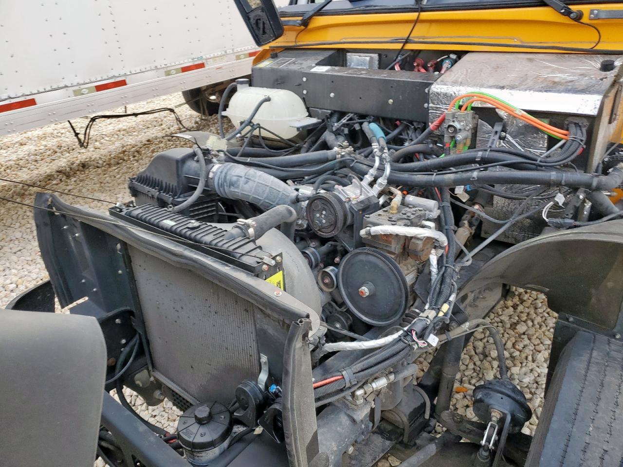 2025 Blue Bird 2025 Bluebird School Bus-Transit Vehicles