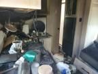 2025 Other 2025 'OTHER RV' Trailer