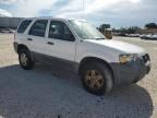 2006 Ford Escape xls