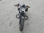 2019 Harley-Davidson XL883 N