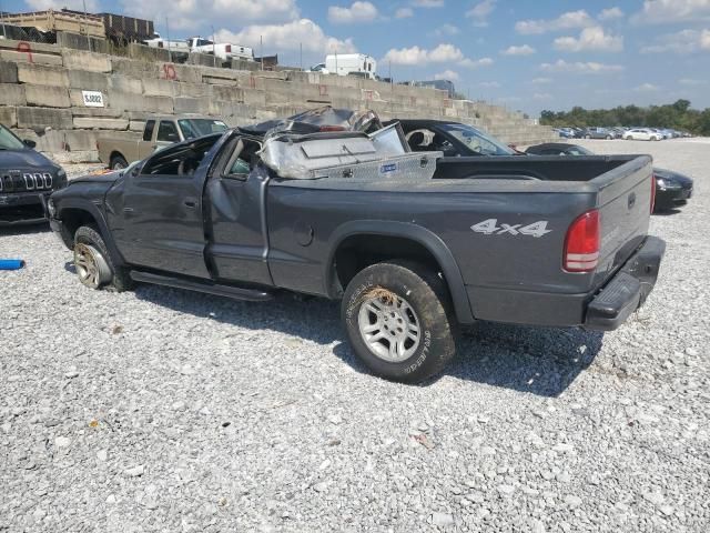 2003 Dodge Dakota SXT