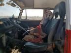 1976 Volkswagen Vanagon