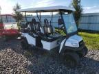2024 Bintelli Bintelli Golf Cart