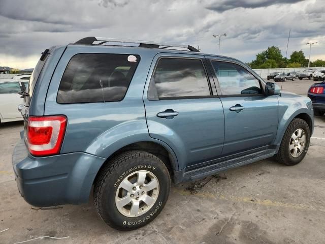 2011 Ford Escape Limited