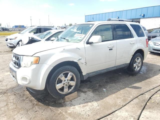 2010 Ford Escape Limited