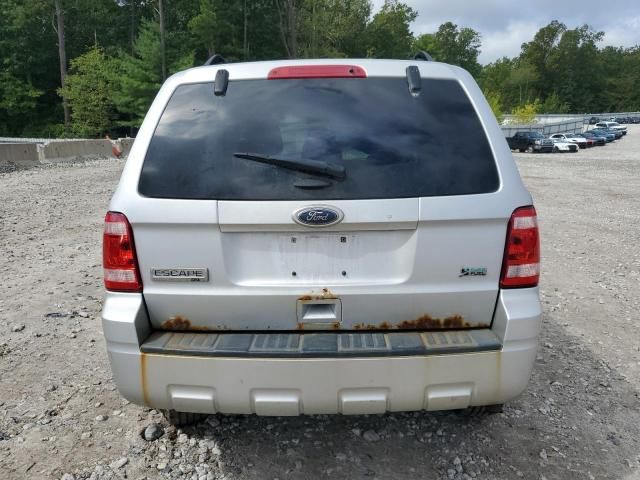 2011 Ford Escape XLT