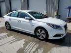 2016 Hyundai Sonata Hybrid