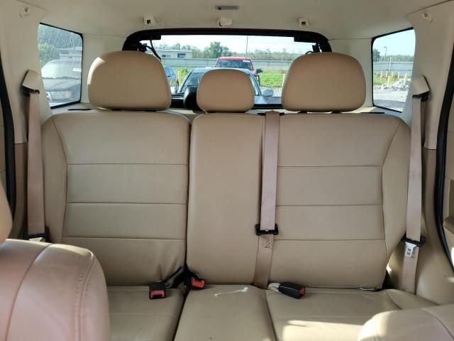 2010 Ford Escape Limited