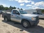 2013 Toyota Tacoma