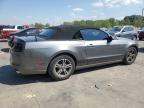 2013 Ford Mustang