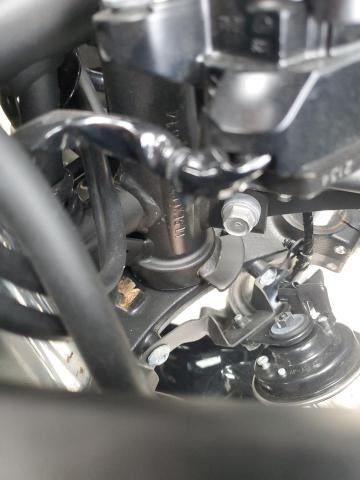 2024 Kawasaki EX500 H