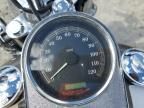 2004 Harley-Davidson Flstfi