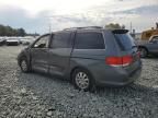 2008 Honda Odyssey EXL