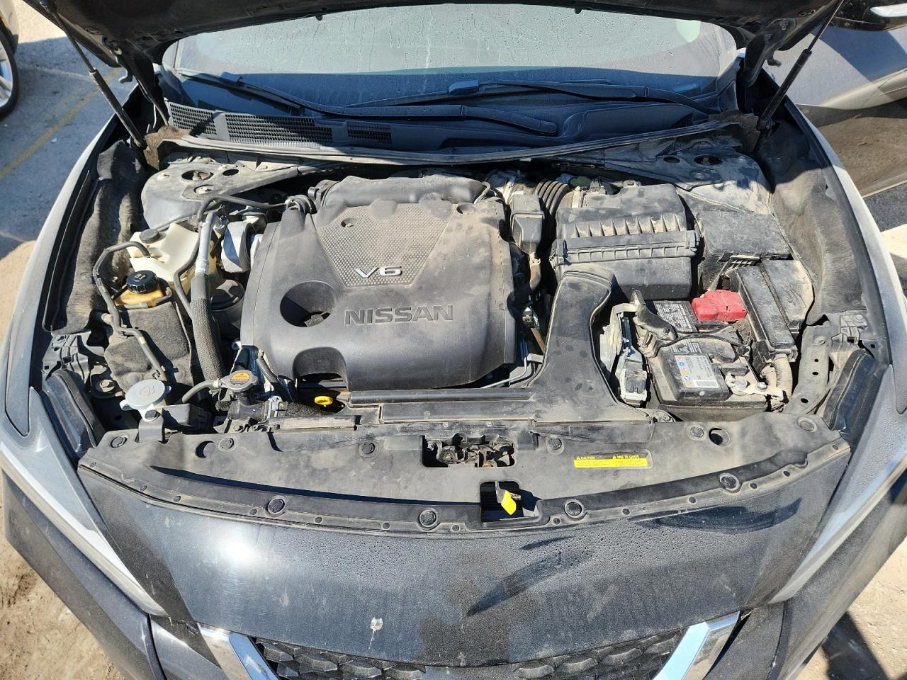 2020 Niss An Maxima sl