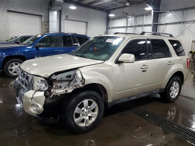 2011 Ford Escape Limited