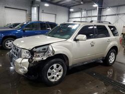 2011 Ford Escape Limited for sale in Ham Lake, MN