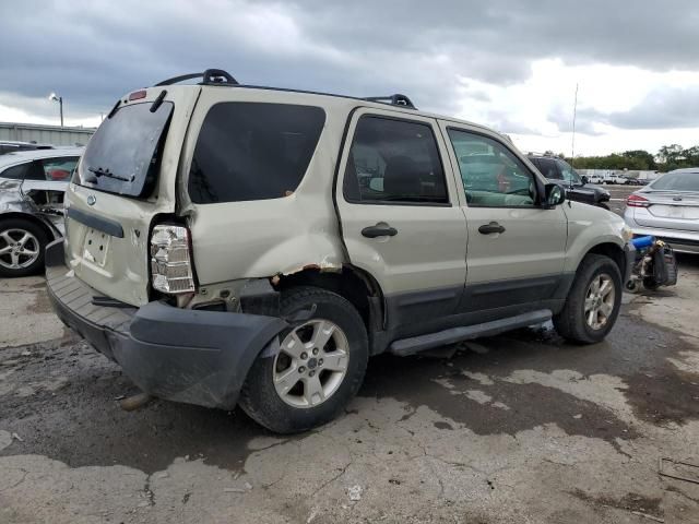 2006 Ford Escape XLT